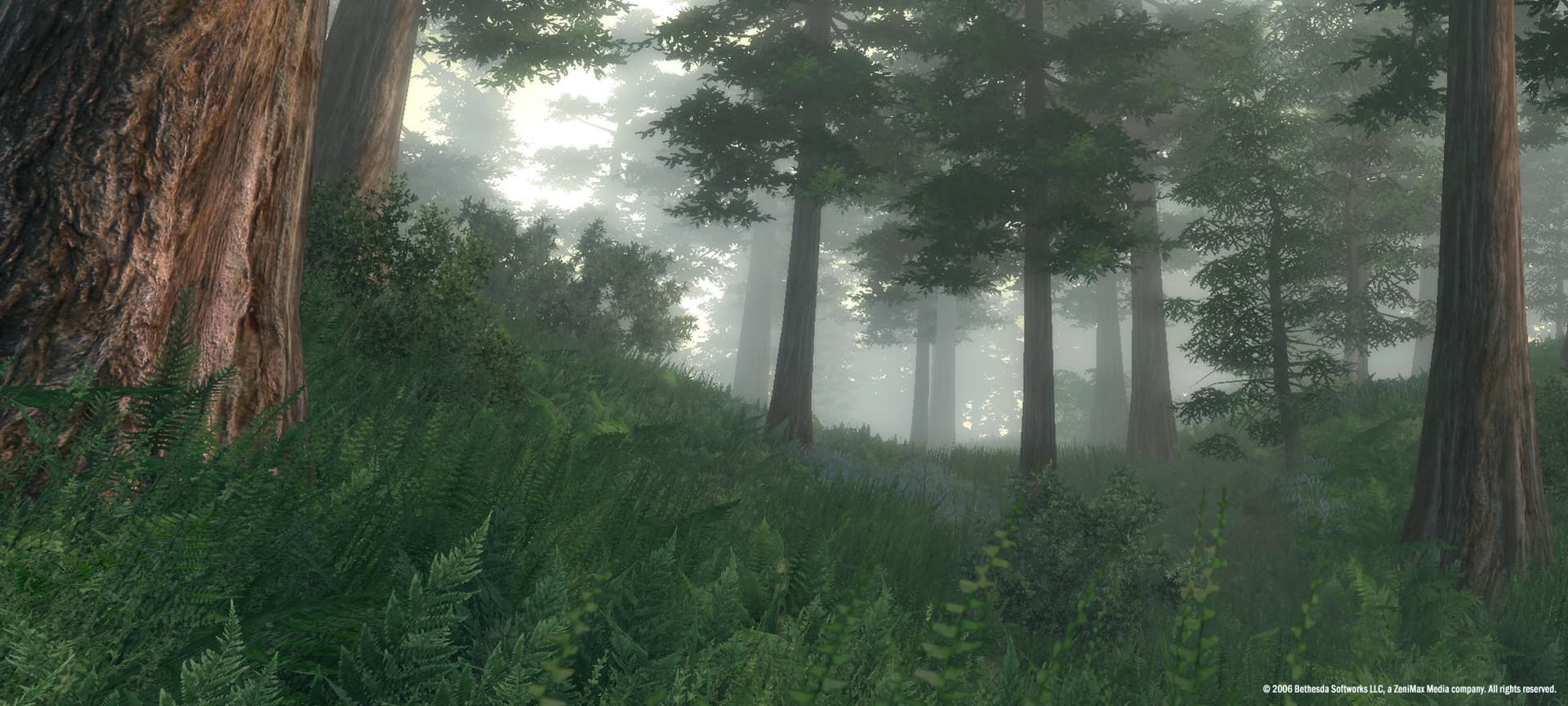 The Elder Scrolls IV: Oblivion® Game of the Year Edition (2009) — imagem 1