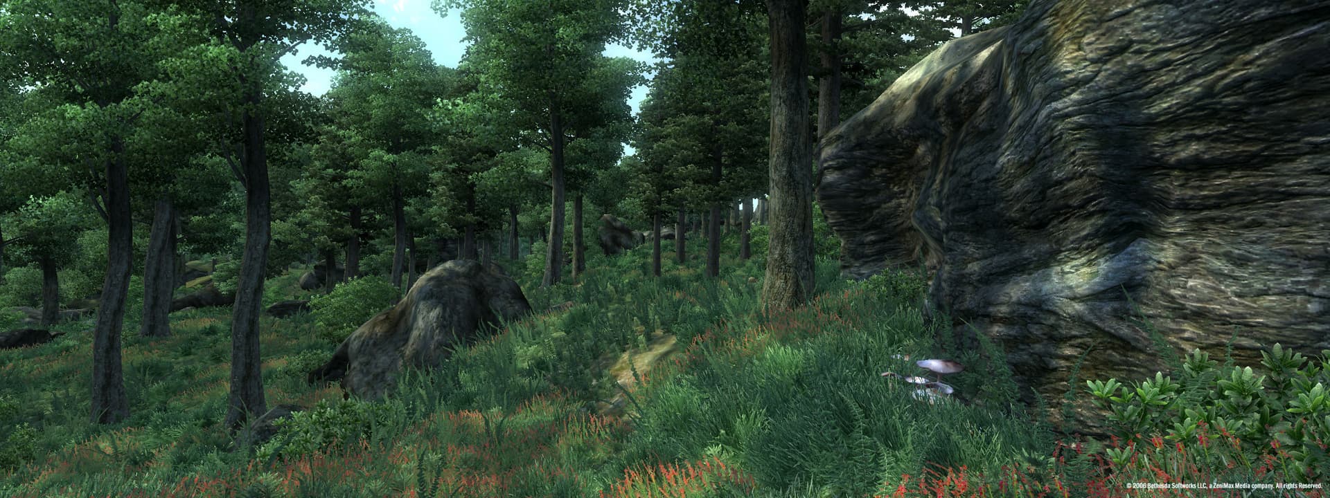 The Elder Scrolls IV: Oblivion® Game of the Year Edition (2009) — imagem 2