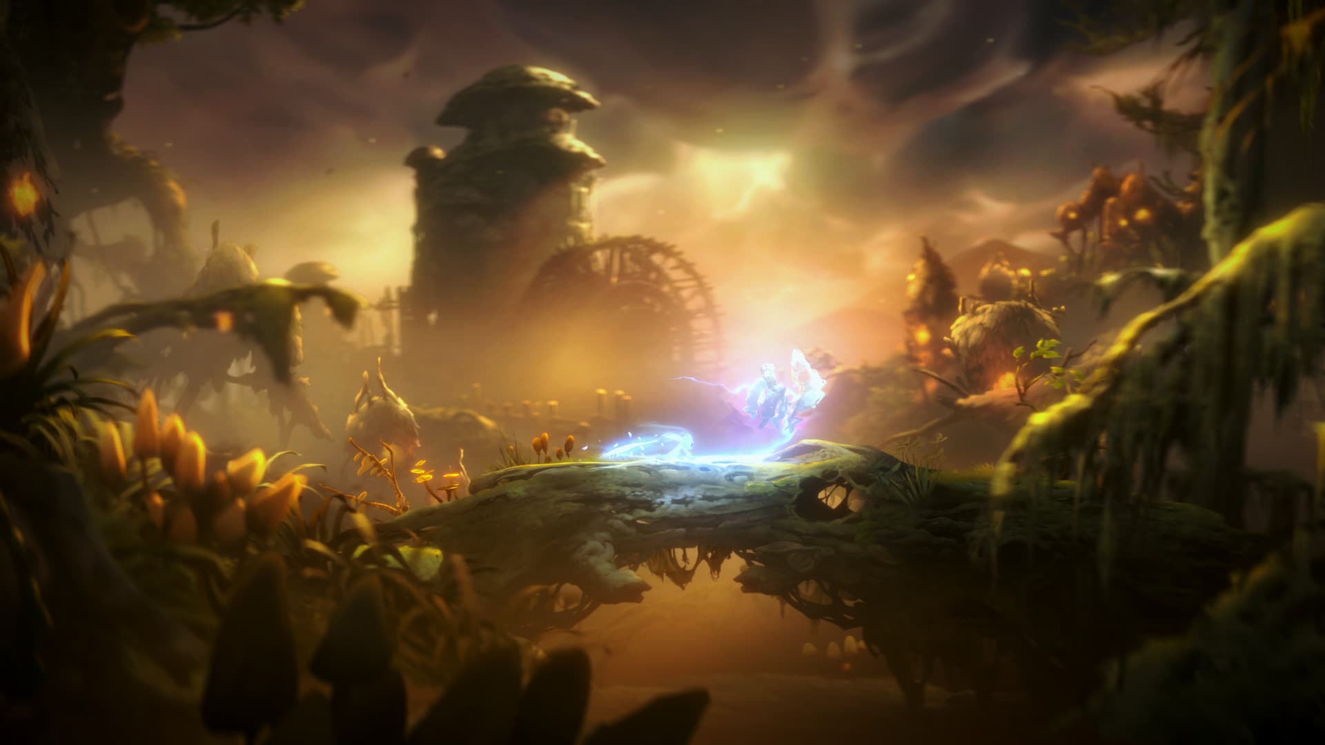Ori and the Will of the Wisps — imagem 4