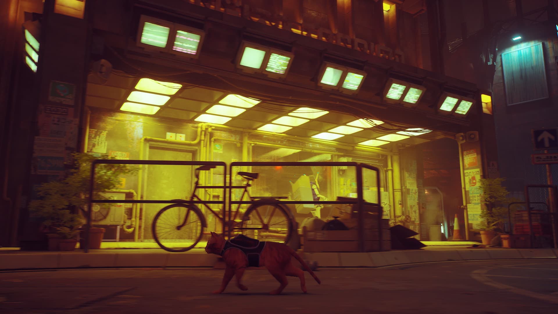 Stray — imagem 4