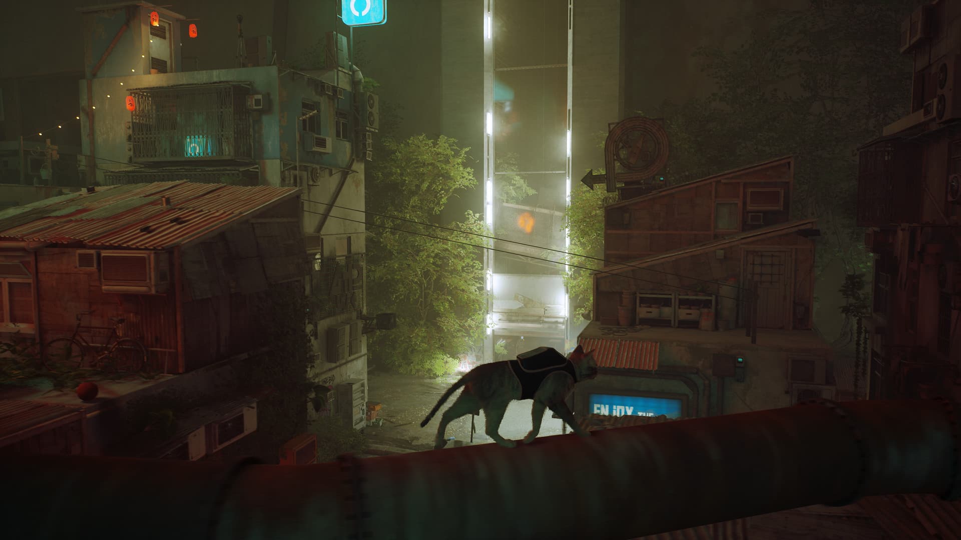 Stray — imagem 2