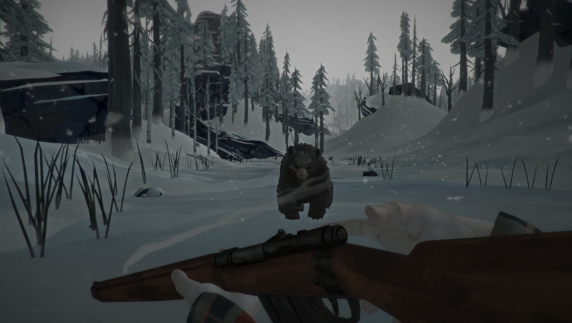 The Long Dark — imagem 4