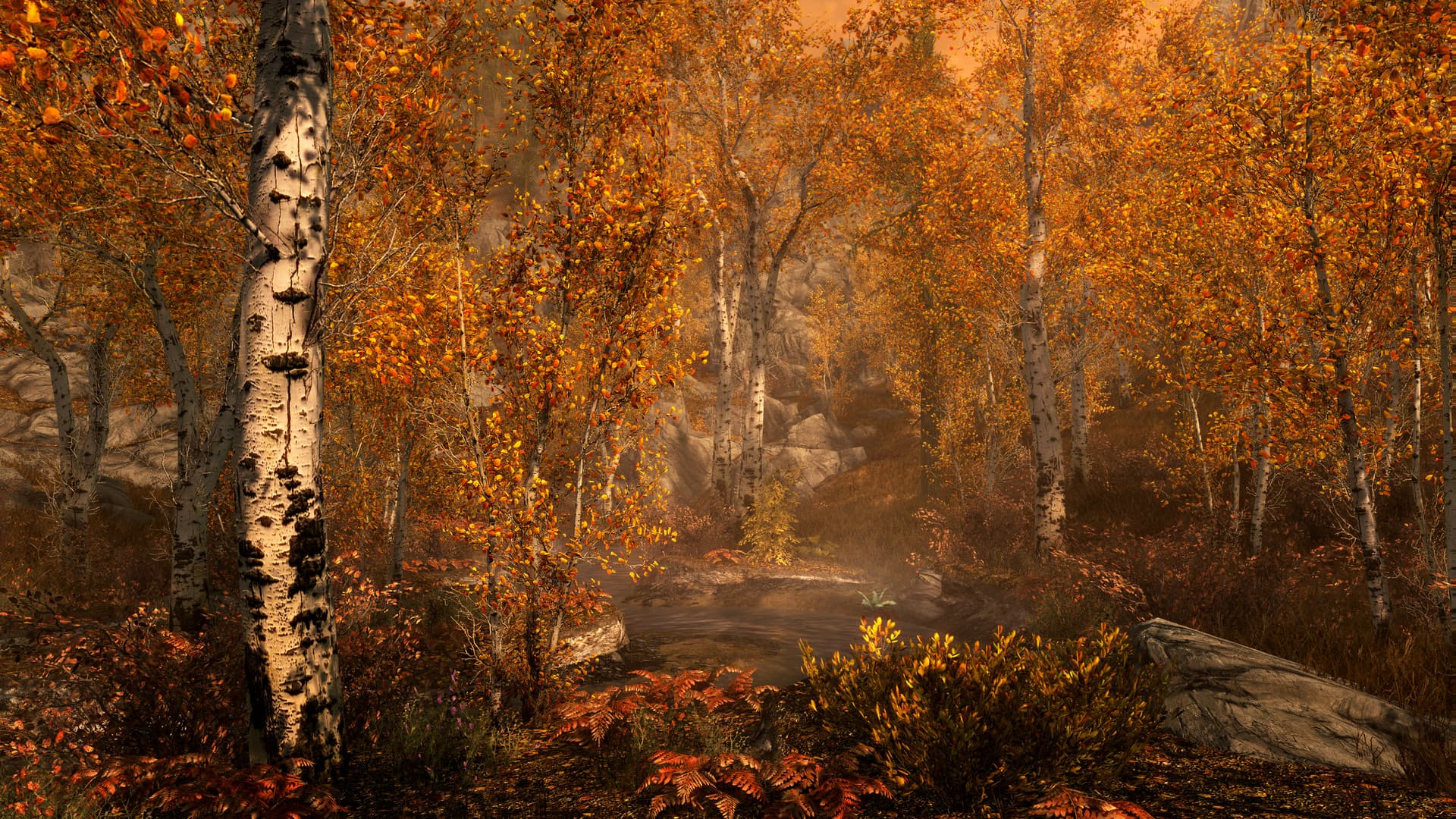 The Elder Scrolls V: Skyrim Special Edition — imagem 3